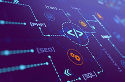 Web and Social Optimization Services